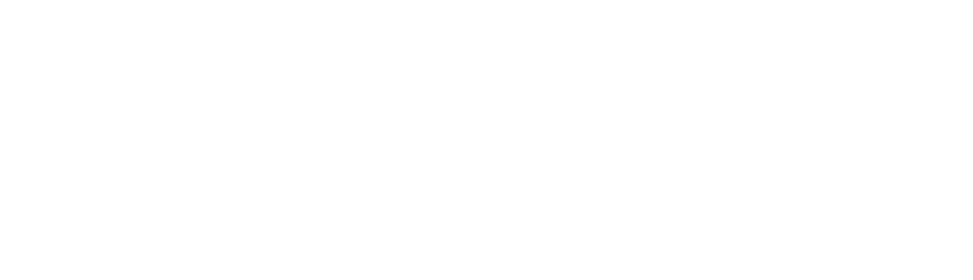 PiastIT – usługi IT dla firm